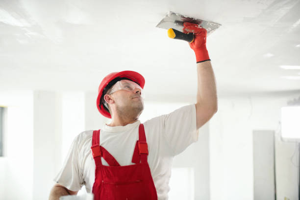 Best Repainting for Renovations  in Dranesville, VA